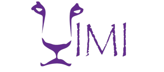 Footer Logo of YIMI